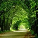 광주카서비스 이미지