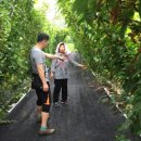 성보농장 이미지