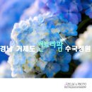 썬트리팜 네이버블로그