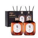 페트리코 이미지