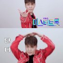 단디 스포츠경향