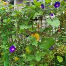 비기경로당 이미지