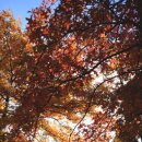 쌍용공원 화장실 이미지