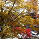 광영동 현대2차아파트 이미지