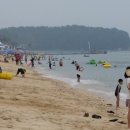 대천해수욕장 청해횟집 이미지