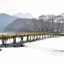 송학주천로 Daum카페