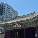 시청역 맛집 설품 덕수궁점 한우소꼬리구이 육회비빔밥 후기