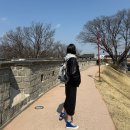 효쑥뜸 | 그냥 기분일뿐이고 (수원 행궁동 오테이블, jmw 드라이기 추천, 쑥뜸, 다이어트 볶음밥, 에쿠니 가오리)