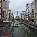 일본 오사카 2박3일 태교여행 겸 신혼여행 후기[라피트/치야키 우나기/오사카 난바/도톤보리/스시사카바...