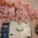 더리터시흥배곧점 이미지