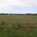 대평원목장 이미지