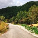 각흘계곡캠핑장 이미지