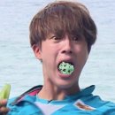 석진농장 티스토리