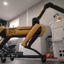 링크스팟 이미지