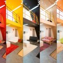 세모난나무 이미지