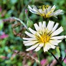 기배역사공원 이미지