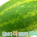 몽이커머스