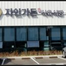 자인백반 이미지