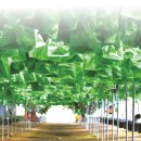 ㈜씨엠씨코리아 이미지