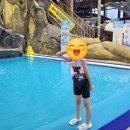 헬플렉스 | 평택워터파크 &#34;오썸플렉스&#34; (예약필수) / 규모는 작지만 있을 건 다 있어요! _아이와 함께 가볼만한곳 추천