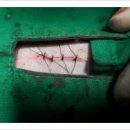 닥터김 동물병원 이미지