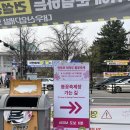 벚꽃 공중화장실 | 여의도 벚꽃축제 후기 (2026년 4월 3일)