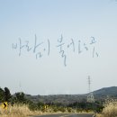 바람이 불어오는 곳 이미지