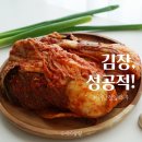 황금 해남절임배추 아삭달콤한 김장김치 탄생