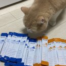 채움휴병원 이미지