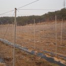 헌열농장 이미지