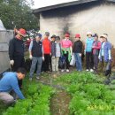 김성수 농장 이미지