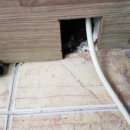 동산아파트 앞 이미지