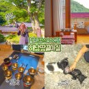전남 해남 가볼만한곳 대흥사 근처 해남 펜션 땅끝마실 촌캉스 숙소