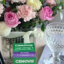 오펠라헬스케어코리아(주) 이미지