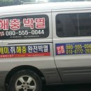 로취버스터즈 - 안성시 | 로취버스터즈