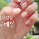 화니네일 이미지