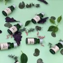 오투원가든 이미지