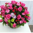 중앙꽃집 이미지