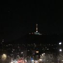 JS가든 북경오리
