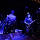 옐로우하우스 이미지