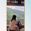 대왕커피