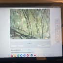 도그살롱올치 | 대구 율하동 미용실 살롱드부래미 율하점 ft.두피관리받고 리프팅효과까지!