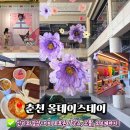 씨유 춘천만천로점 | 춘천 대형카페 추천 – 전시·굿즈·베이커리까지 다 있는 올데이스테이 후기
