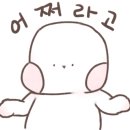 개미세탁 이미지