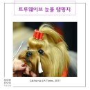 트루웨이브 이미지