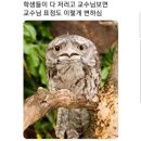 디엠케어 이미지