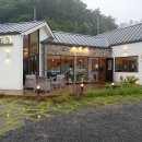 초오록