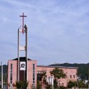 일심교회 이미지