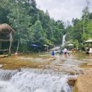 행복농장 봉화지점 | 바오록 Cat Farm 폭포 카페 &amp; Bon Bon 카페｜달랏 가는 길 숨은 코스