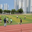 영천중앙초등학교 이미지